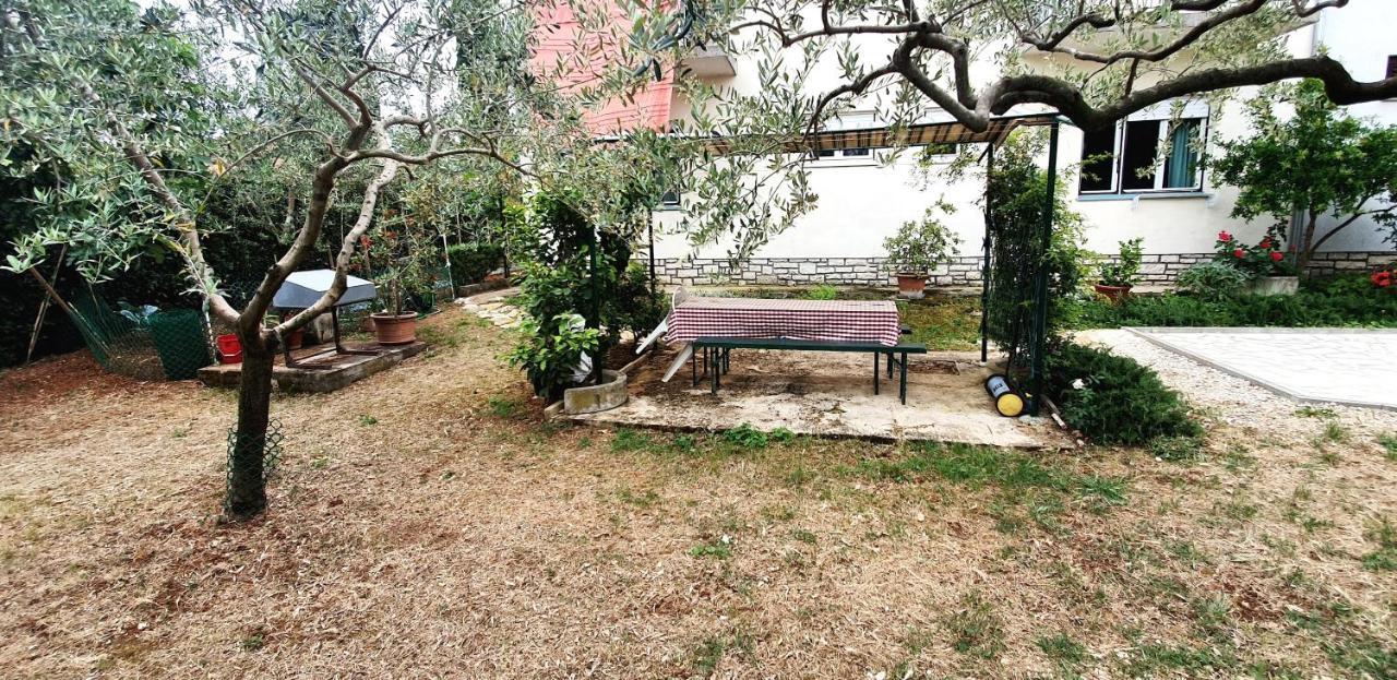 Apartment Cecillia Mare Rovinj