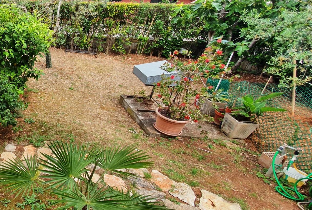 Cecillia Mare Apartment *