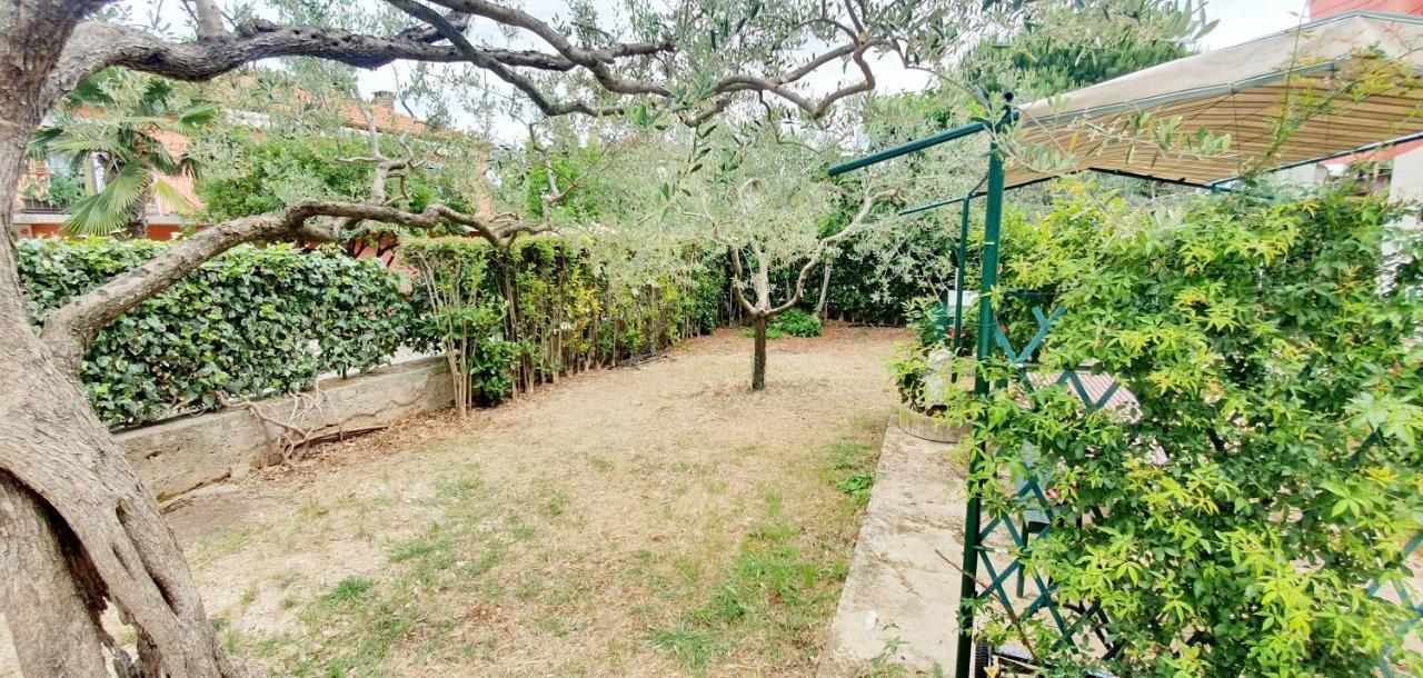 Apartament Cecillia Mare *